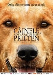 A Dog’s Purpose – Câinele, adevăratul meu prieten 2017 subtitrat in romana
