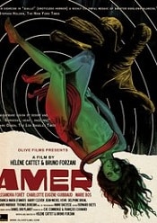 Amer 2009 film online subtitrat in romana