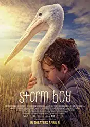 Storm Boy 2019 film subtitrat in romana