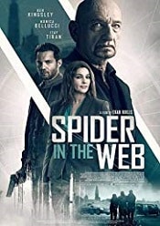 Spider in the Web 2019 subtitrat on line hd
