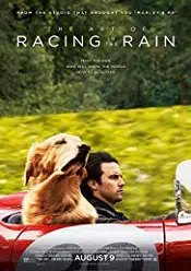 The Art of Racing in the Rain 2019 filme subtitrate hd