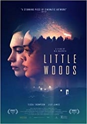 Little Woods 2018 film online subtitrat