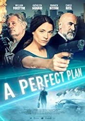 A Perfect Plan 2020 film online hd gratis