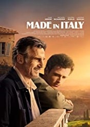 Made in Italy 2020 subtitrat online in romana