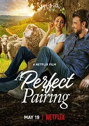 A Perfect Pairing 2022 online subtitrat hd in romana