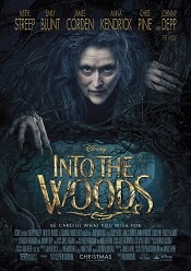 Into the Woods 2014 online subtitrat hd gratis in romana