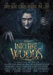 Into the Woods 2014 online subtitrat hd gratis in romana